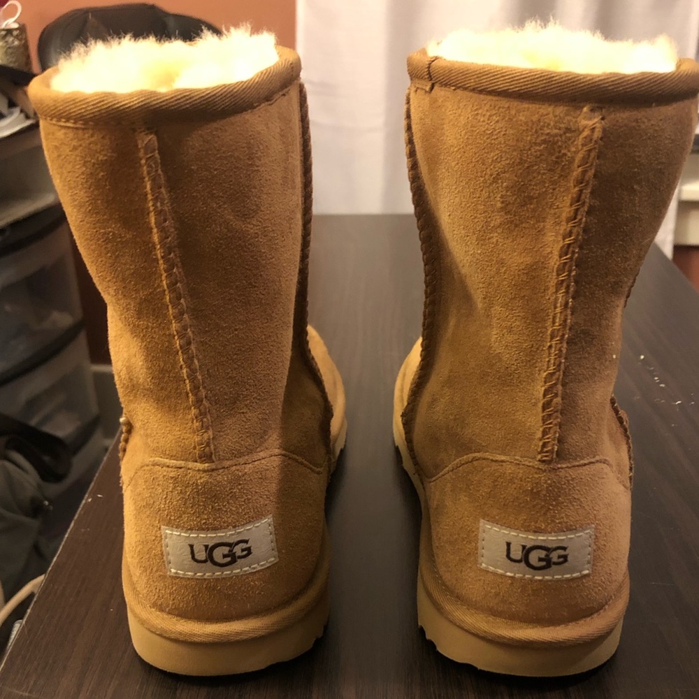 Chestnut Short Ugg Boots